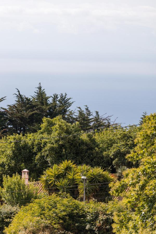 Maison Mialon: Country House Amidst Of Nature La Esperanza  Dış mekan fotoğraf